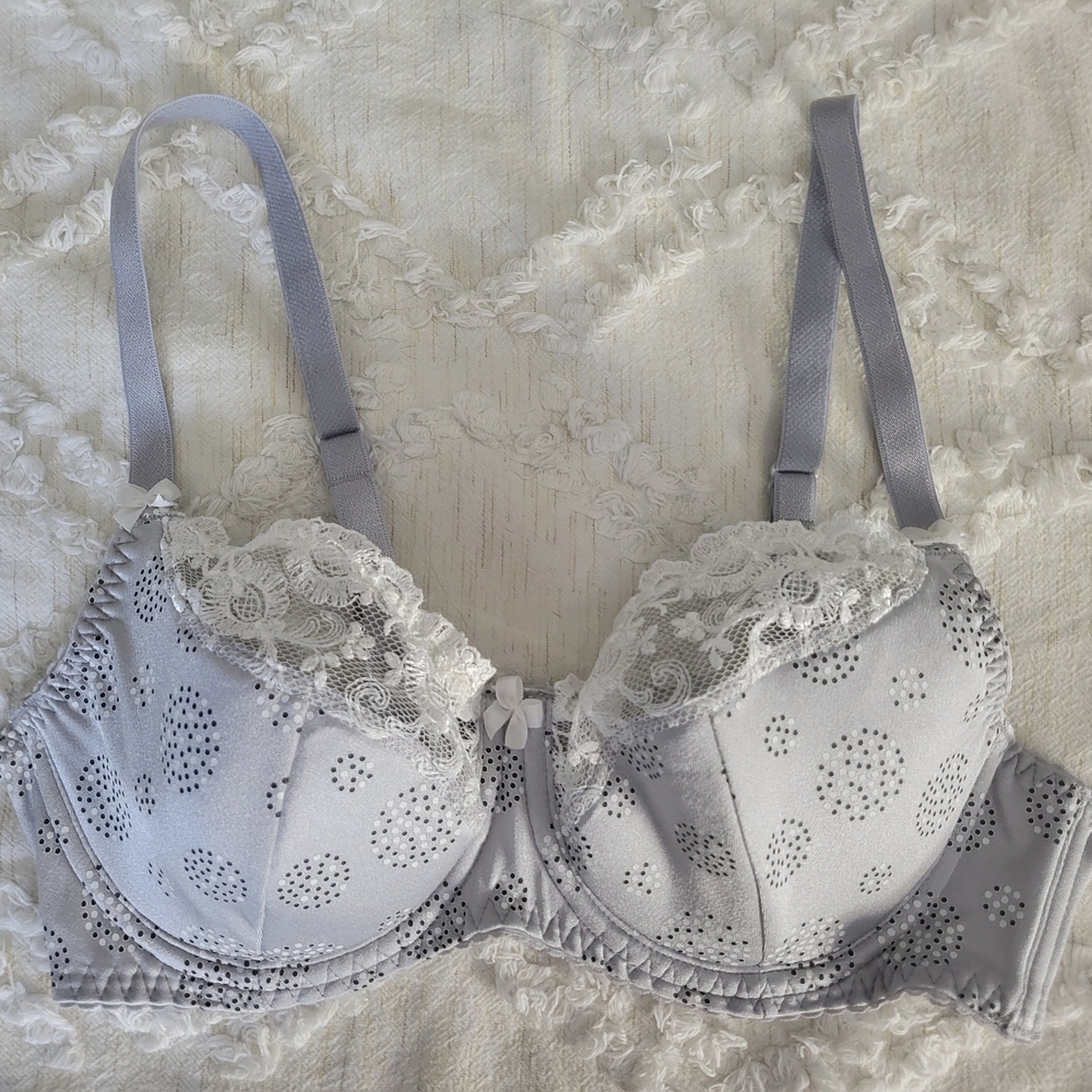 GAIA Liv Semi-Soft Bra 70C Gray Polish Wired 32C